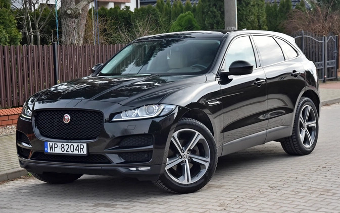 Jaguar F-Pace cena 110999 przebieg: 151000, rok produkcji 2016 z Płock małe 742